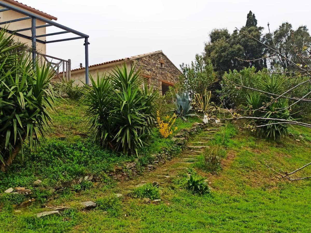 Casa Bonino Hotel Prunelli-di-Fiumorbo Exterior photo